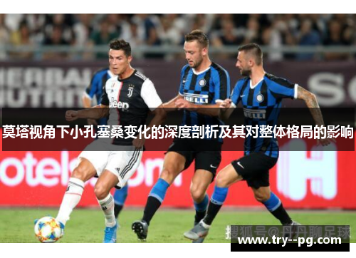 莫塔视角下小孔塞桑变化的深度剖析及其对整体格局的影响