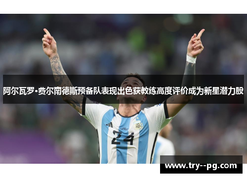 阿尔瓦罗·费尔南德斯预备队表现出色获教练高度评价成为新星潜力股