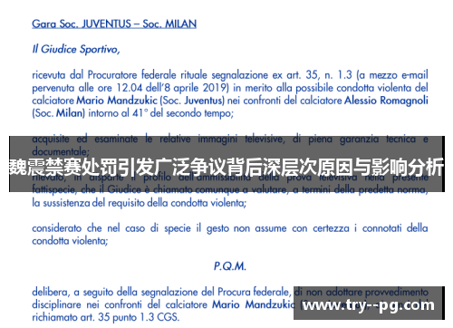 魏震禁赛处罚引发广泛争议背后深层次原因与影响分析