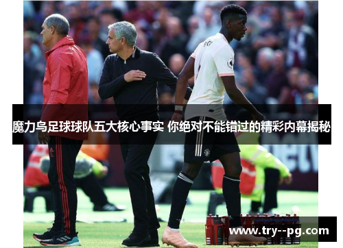 魔力鸟足球球队五大核心事实 你绝对不能错过的精彩内幕揭秘